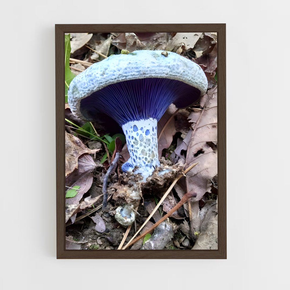 ap-indigo milk cap-1 cadre Bois foncé