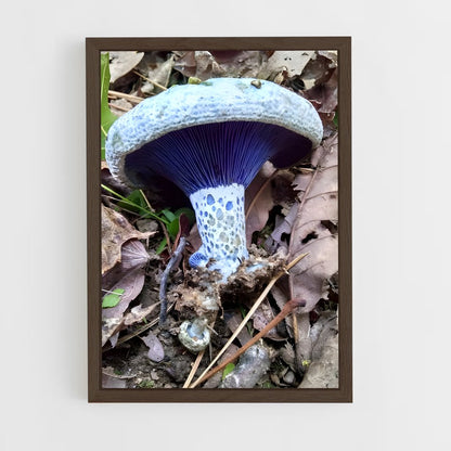 ap-indigo milk cap-1 cadre Bois foncé