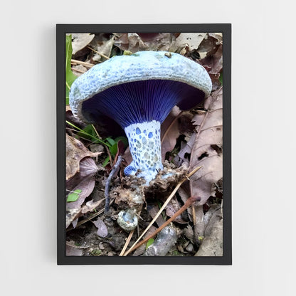 ap-indigo milk cap-1 cadre Noir
