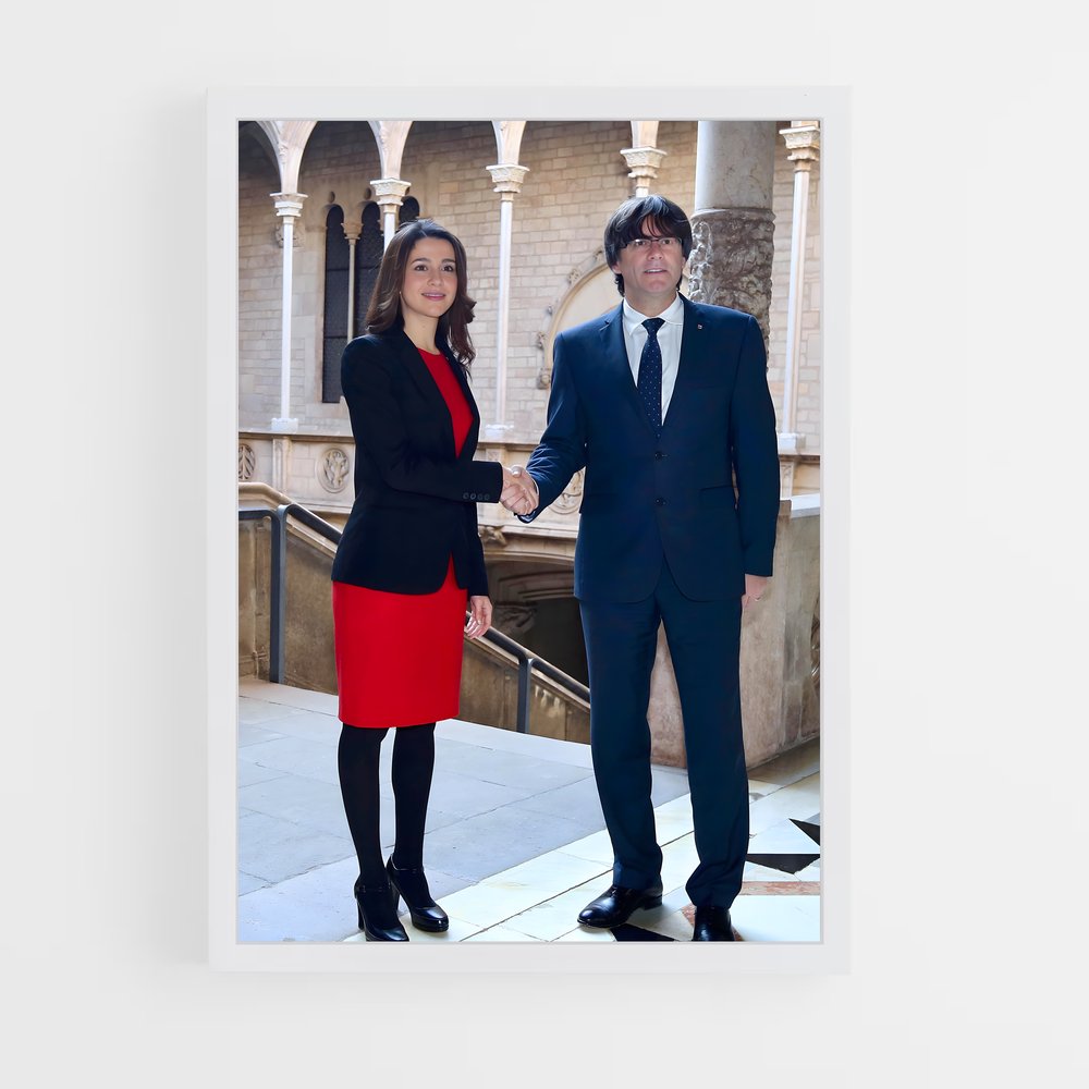 ap-ines arrimadas-1 cadre Blanc