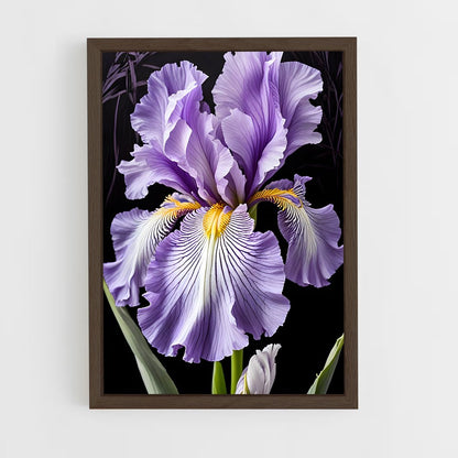 ap-iris-9 cadre Bois foncé