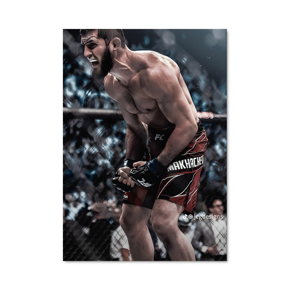 Poster Le Guerrier de l'UFC