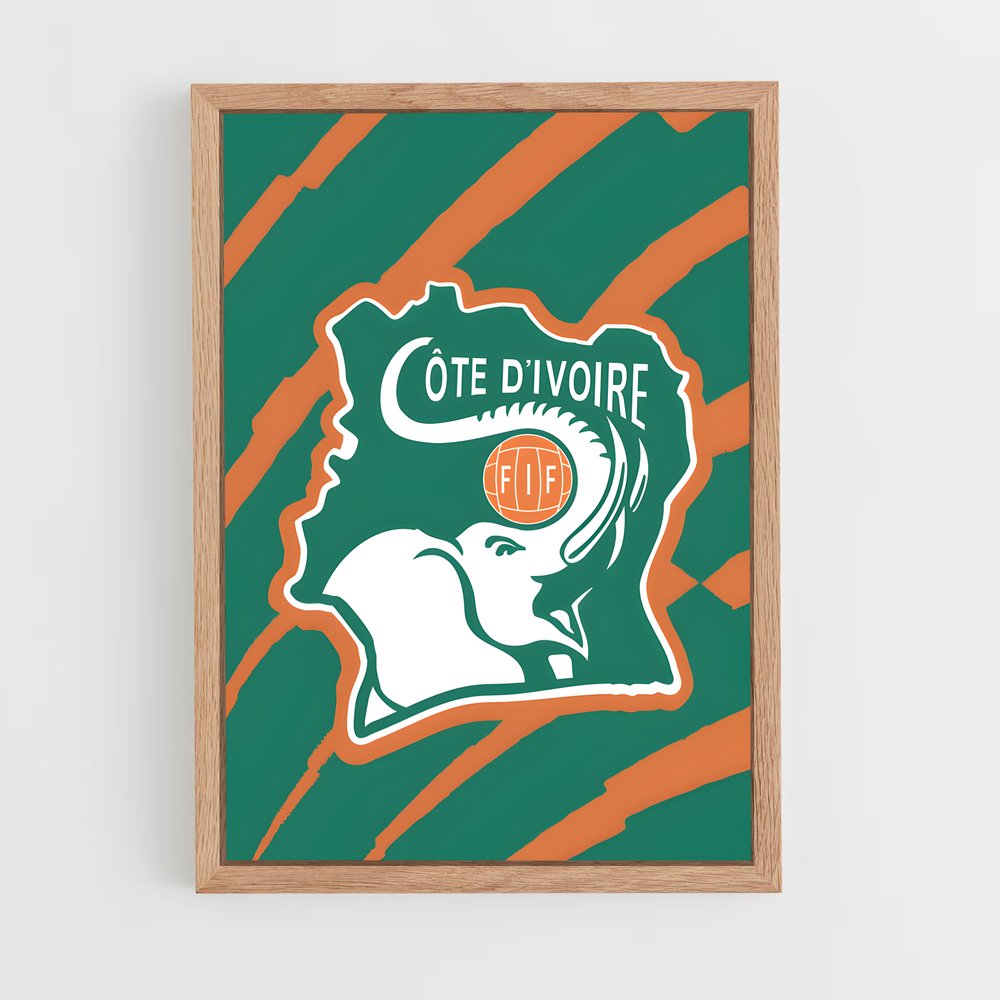 ap-ivory coast national football team-3 cadre Bois clair