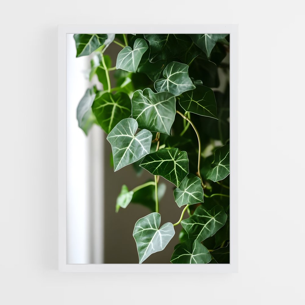 ap-ivy-1 cadre Blanc
