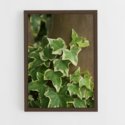ap-ivy-3 cadre Bois foncé