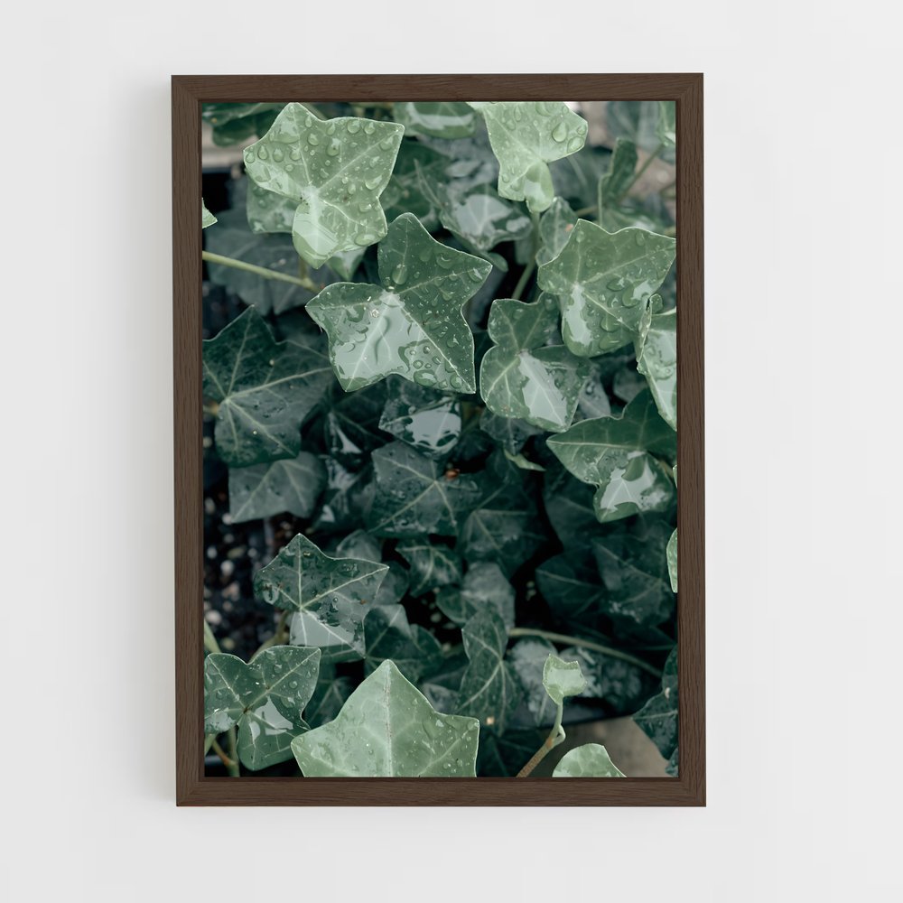ap-ivy-4 cadre Bois foncé