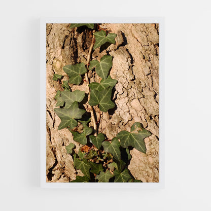 ap-ivy-6 cadre Blanc