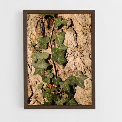ap-ivy-6 cadre Bois foncé