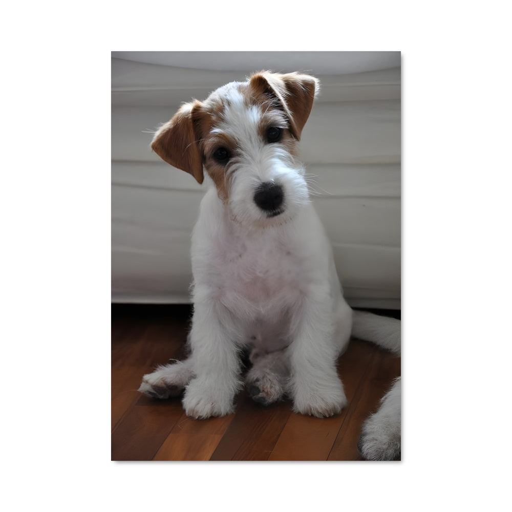 Poster Compagnon à Quatre Pattes