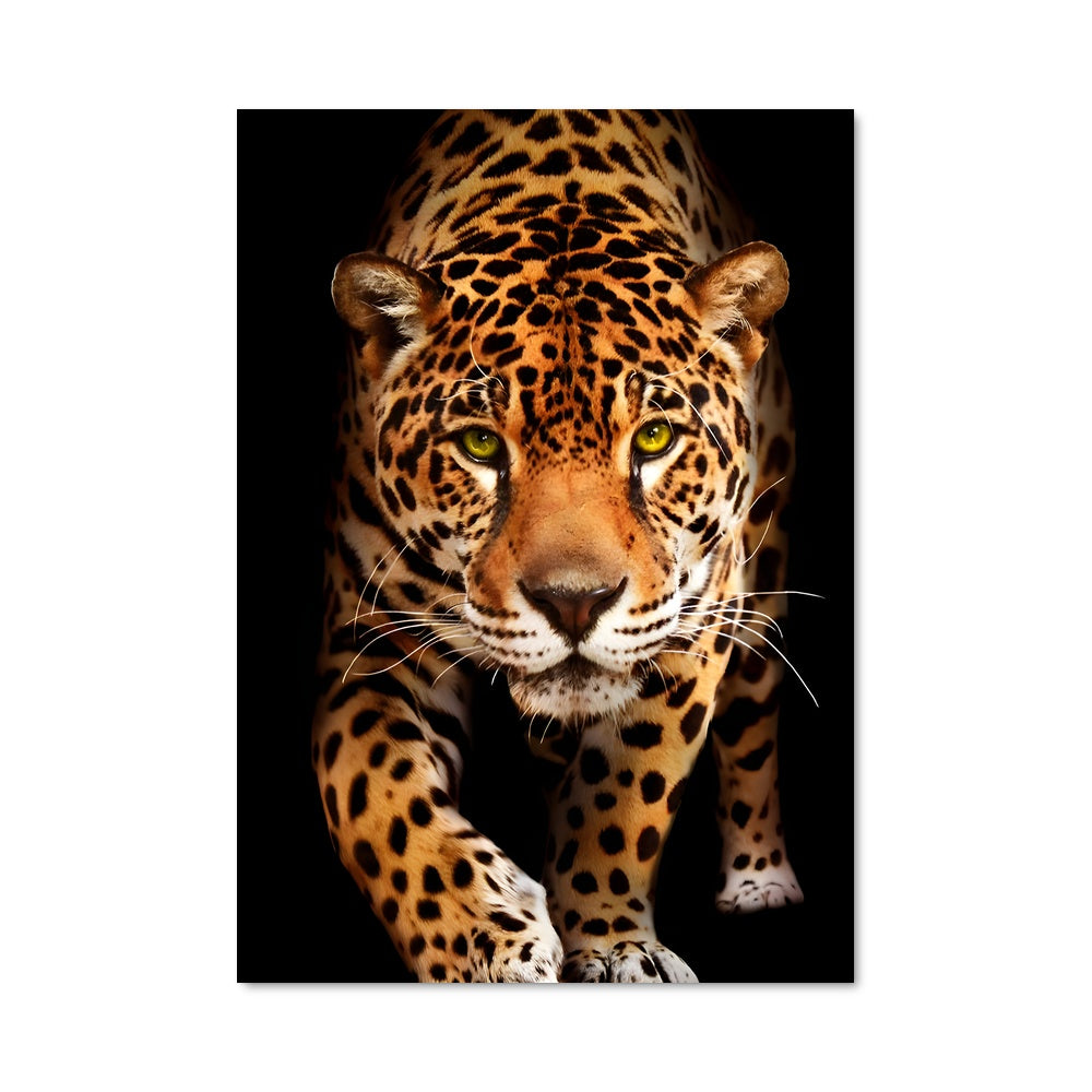 Poster Jaguar Majestueux