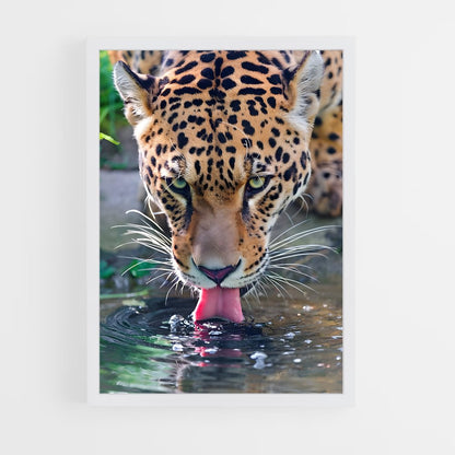 ap-jaguar-7 cadre Blanc