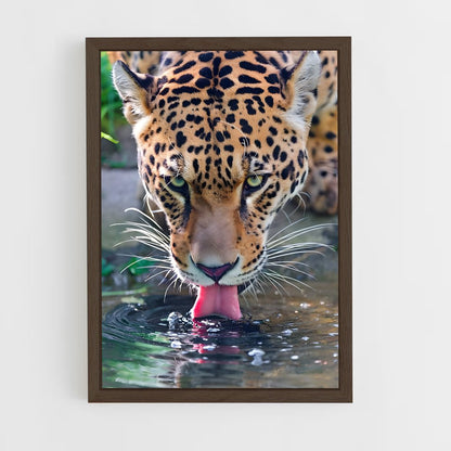 ap-jaguar-7 cadre Bois foncé