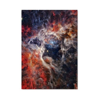Poster La Nébuleuse Taranuia