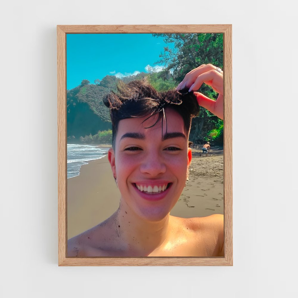 ap-james charles-1 cadre Bois clair