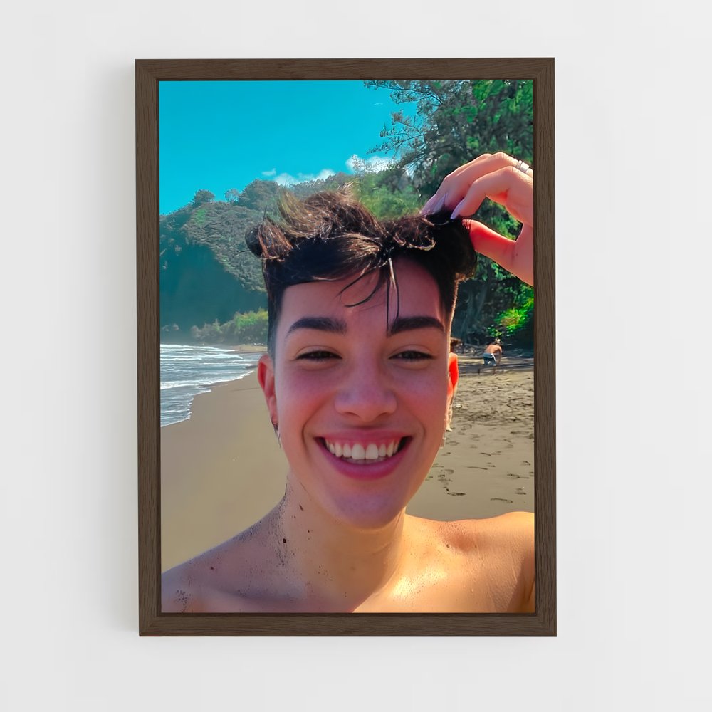 ap-james charles-1 cadre Bois foncé