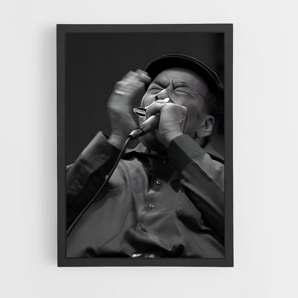 ap-james cotton-1 cadre Noir