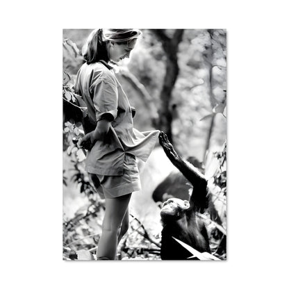 Poster Complicité Sauvage