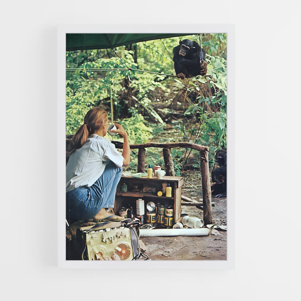 ap-jane goodall-1 cadre Blanc