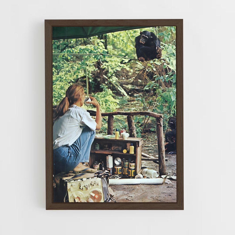 ap-jane goodall-1 cadre Bois foncé