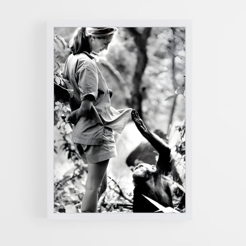 ap-jane goodall-3 cadre Blanc
