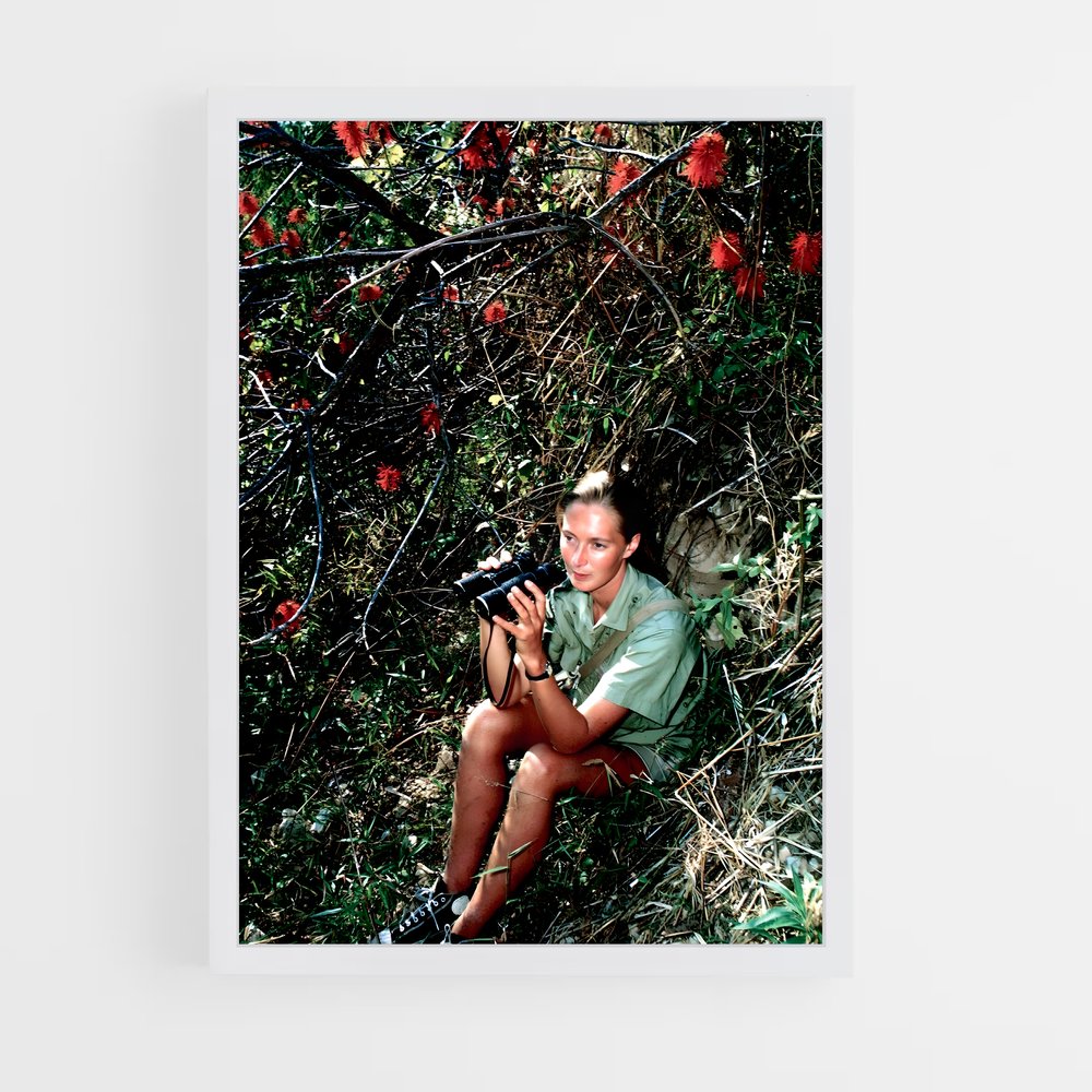ap-jane goodall-4 cadre Blanc