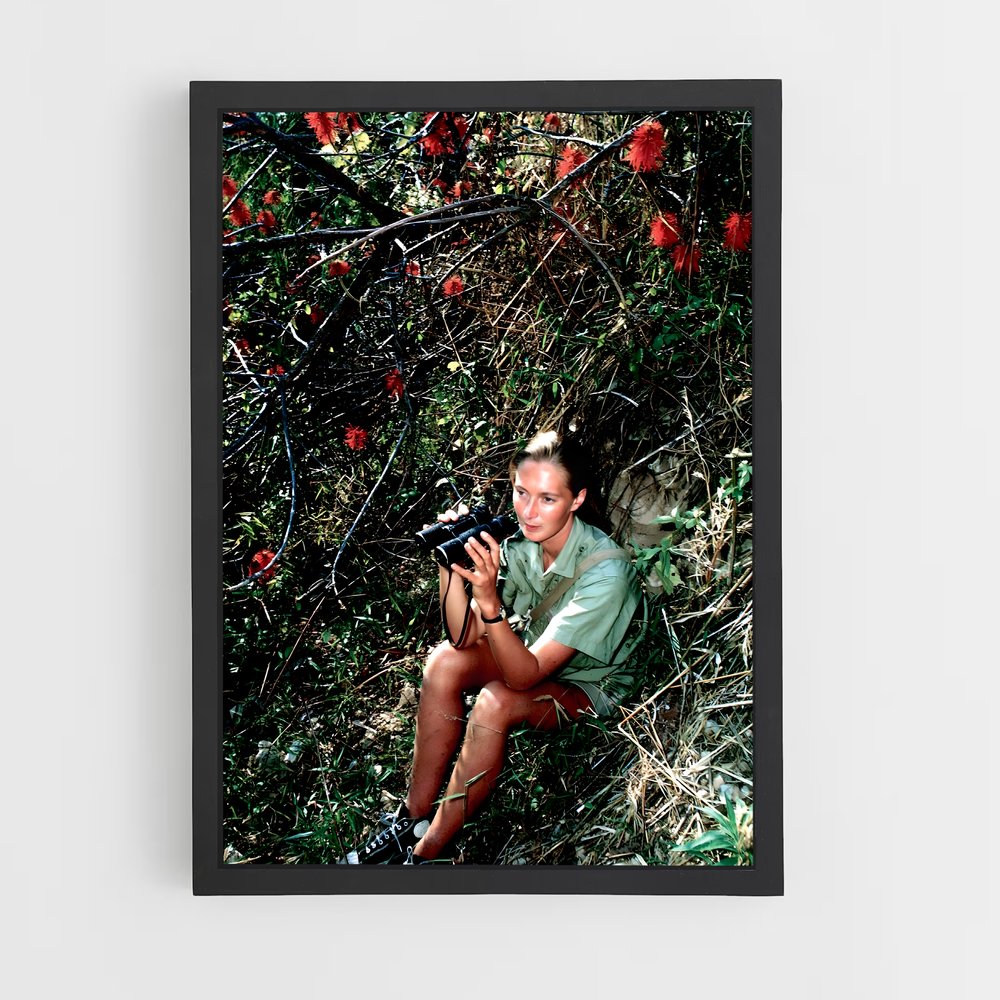 ap-jane goodall-4 cadre Noir