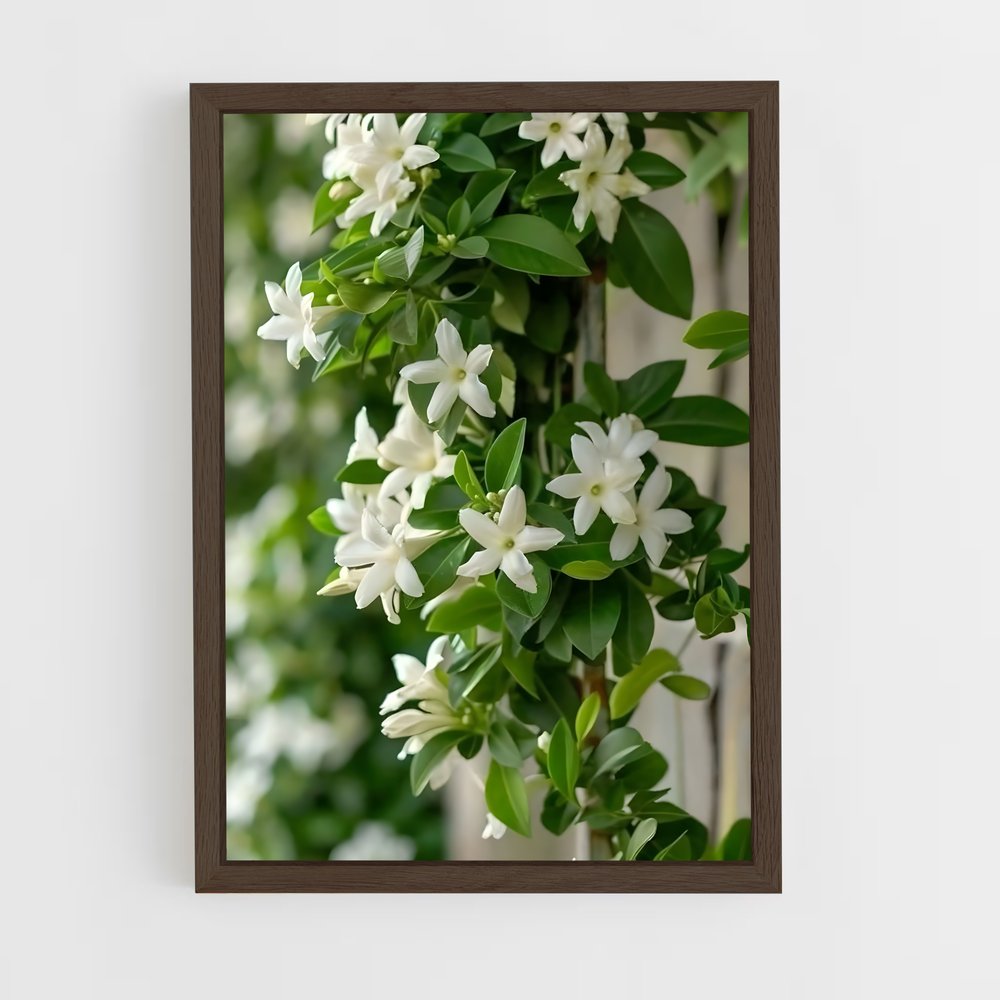 ap-jasmine-3 cadre Bois foncé