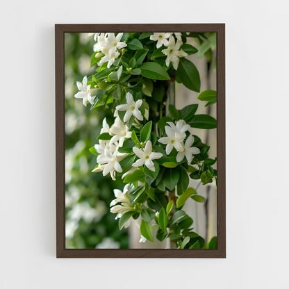 ap-jasmine-3 cadre Bois foncé
