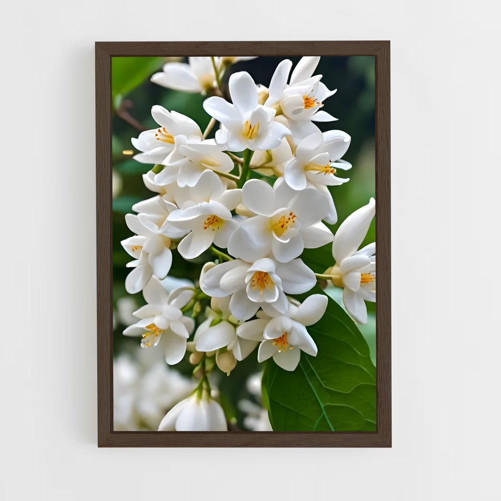 ap-jasmine-4 cadre Bois foncé