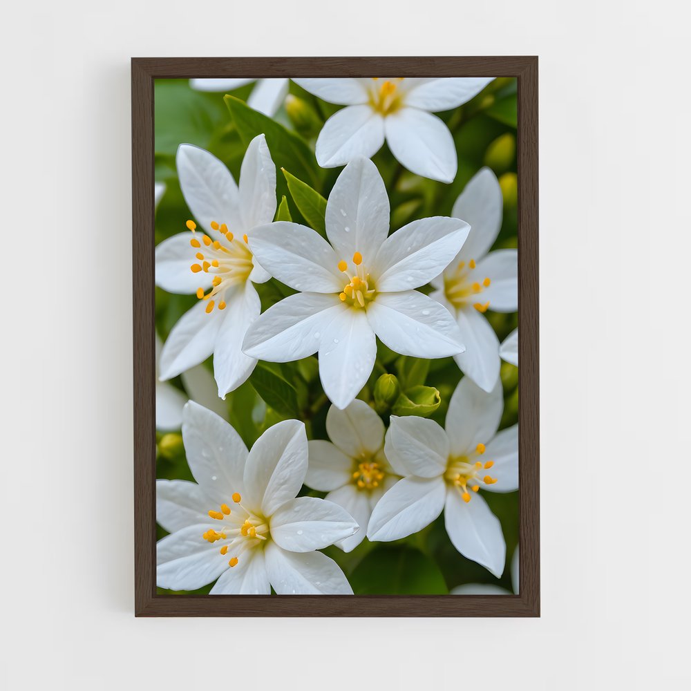 ap-jasmine-5 cadre Bois foncé