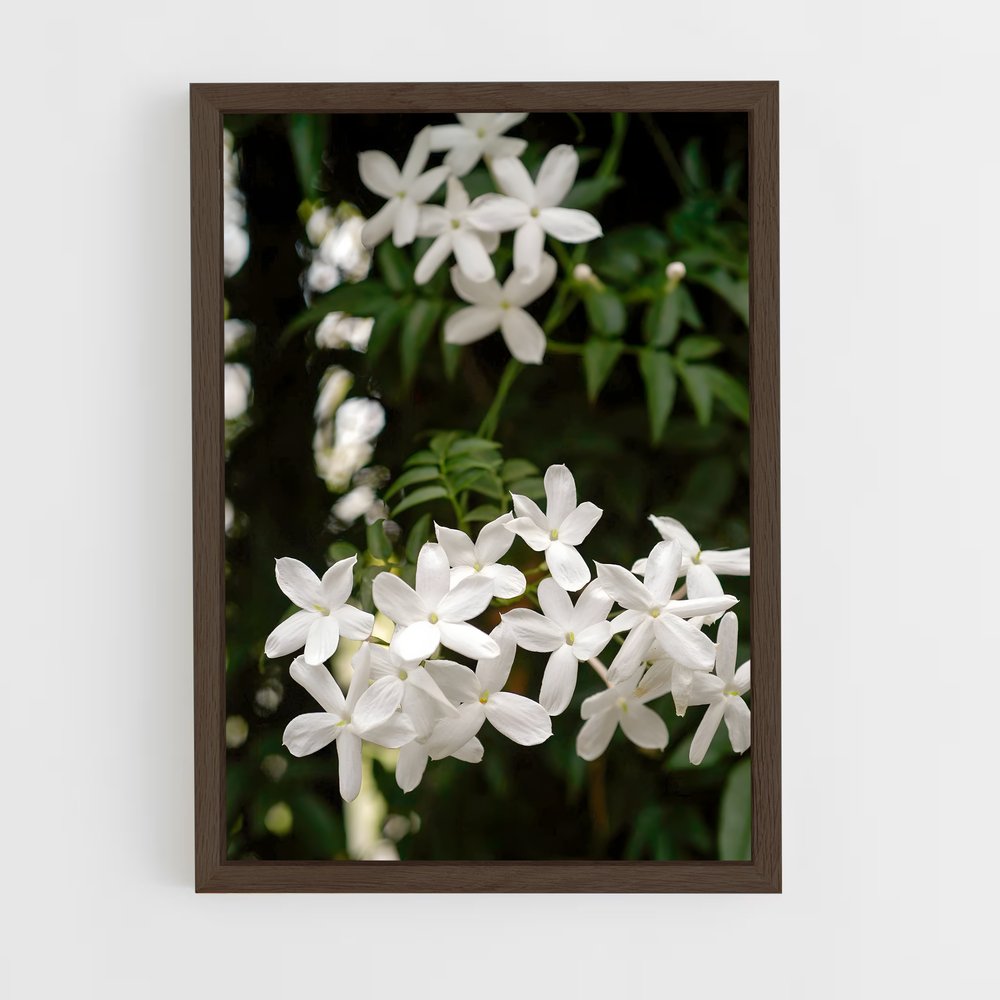 ap-jasmine-9 cadre Bois foncé