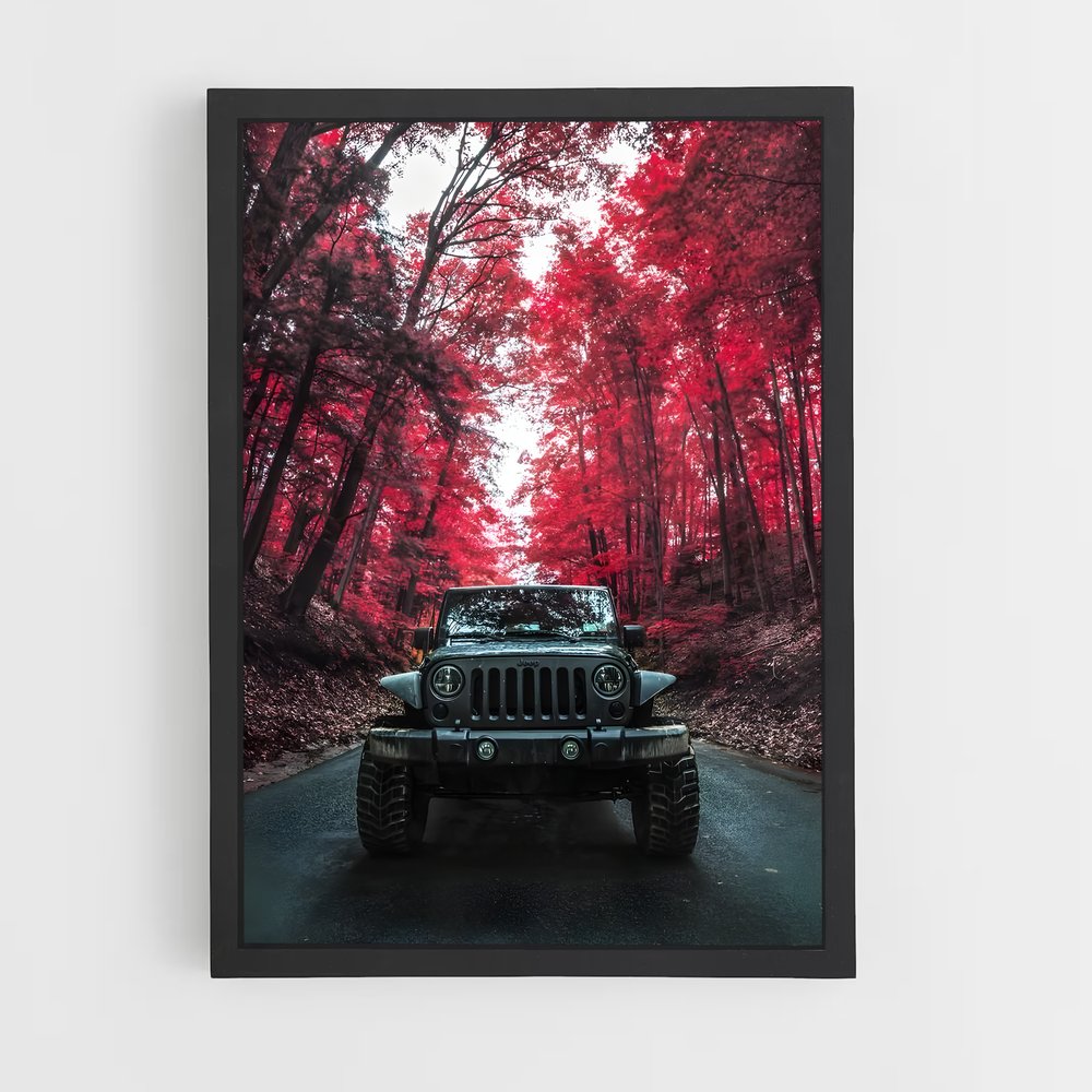 ap-jeep wrangler rubicon-4 cadre Noir