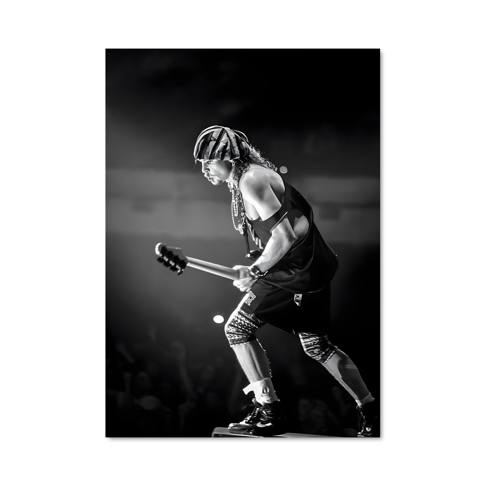 Poster Jeff ament 56299