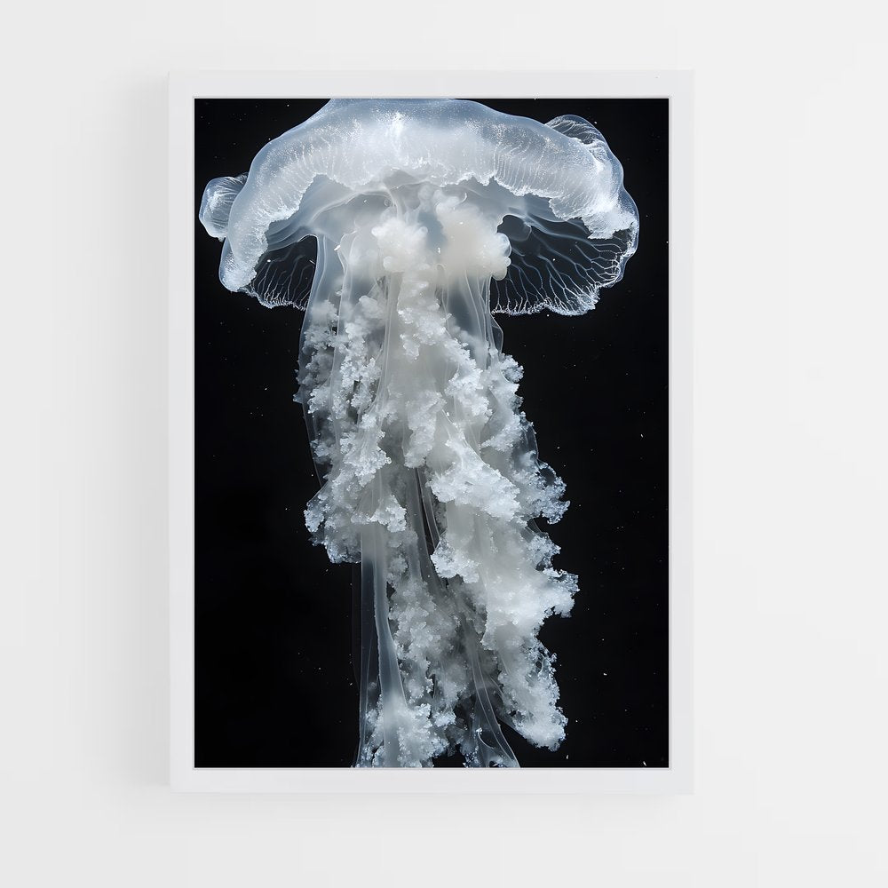 ap-jellyfish-2 cadre Blanc