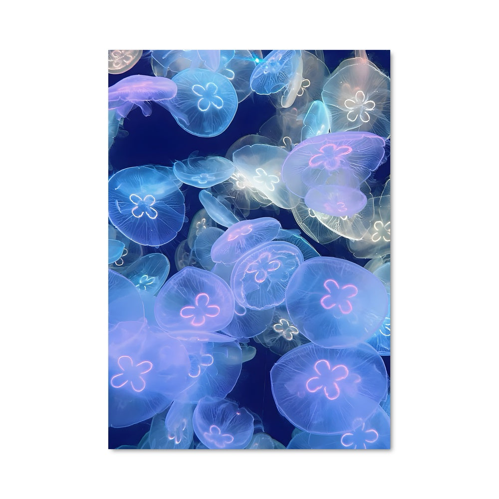 Poster Danse des Méduse