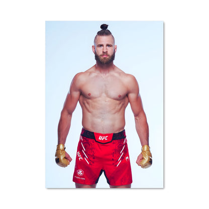Poster Fight Night Prochazka