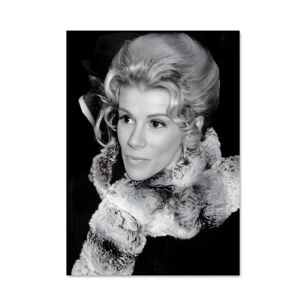 Poster Diva D'Hiver