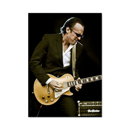 Poster Joe bonamassa 45363