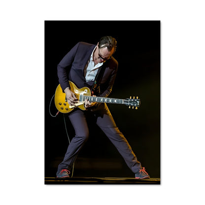 Poster Joe bonamassa 45368