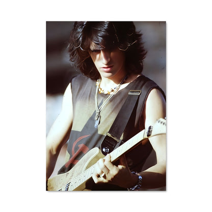 Poster Joe perry 55359
