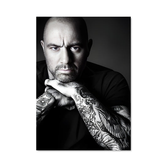Poster Joe rogan 13832