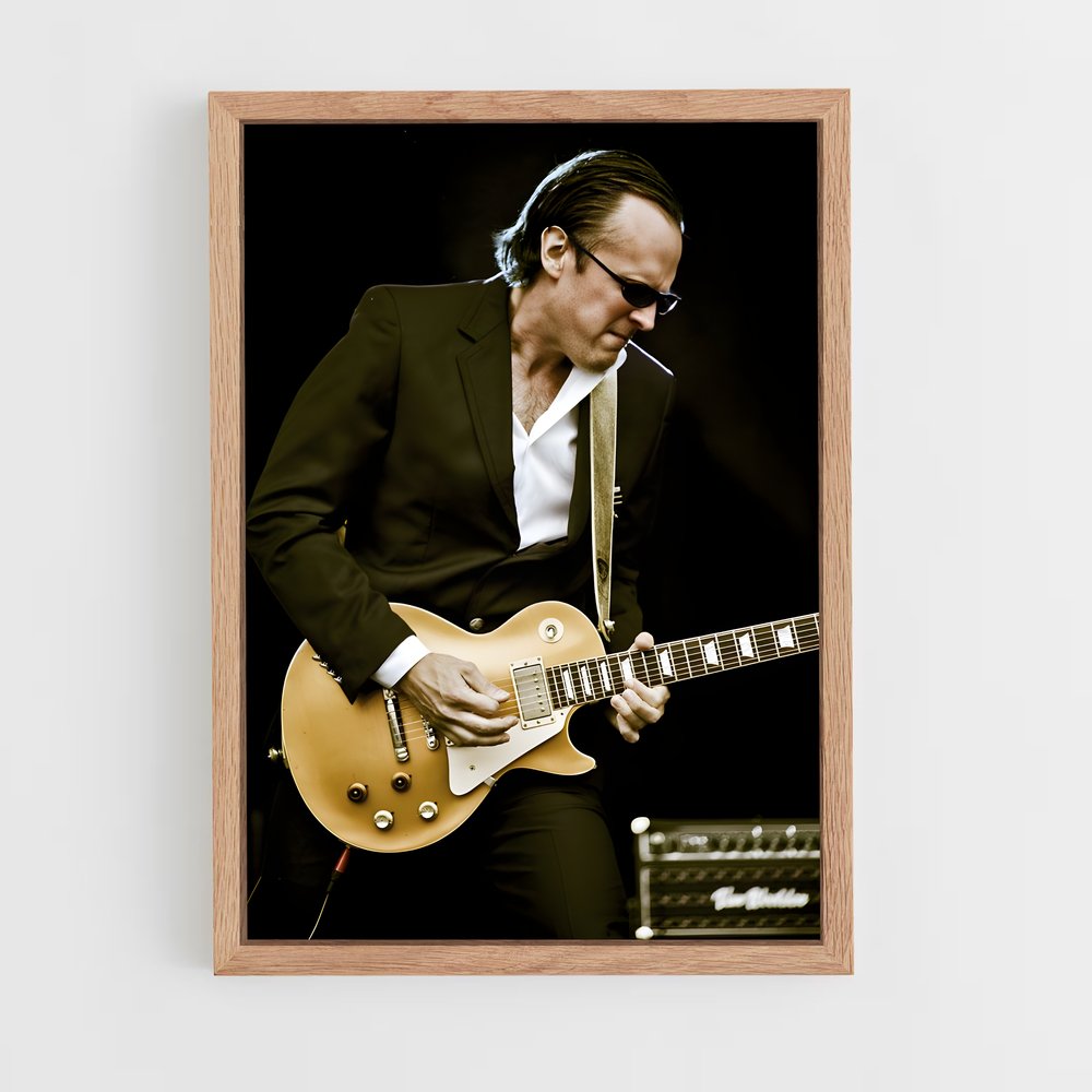 ap-joe bonamassa-2 cadre Bois clair