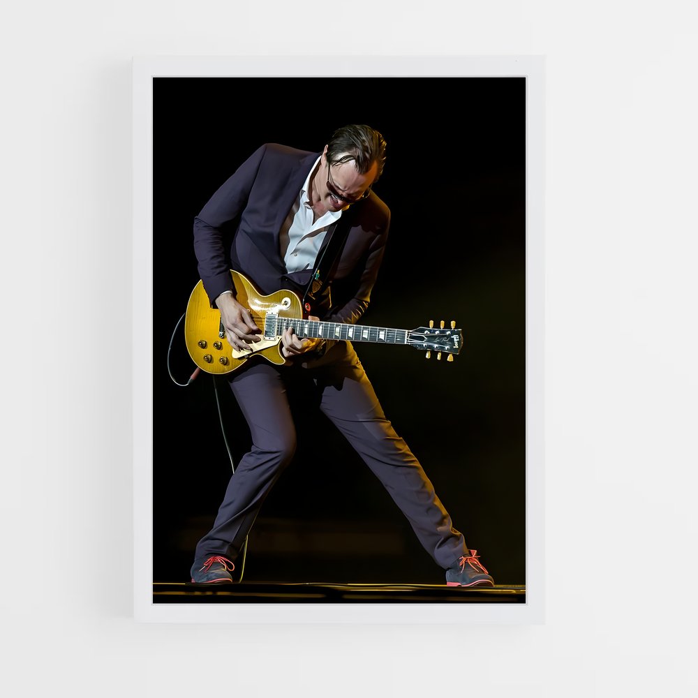 ap-joe bonamassa-3 cadre Blanc
