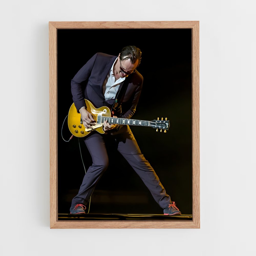 ap-joe bonamassa-3 cadre Bois clair
