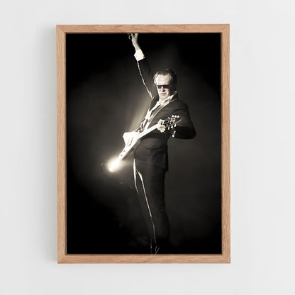 ap-joe bonamassa-5 cadre Bois clair