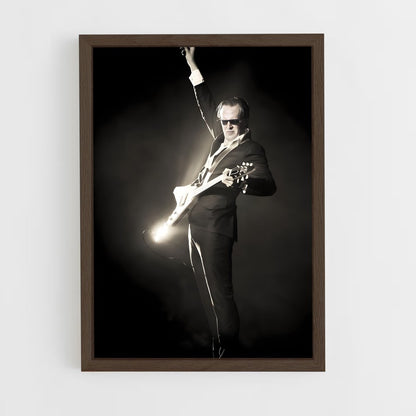 ap-joe bonamassa-5 cadre Bois foncé