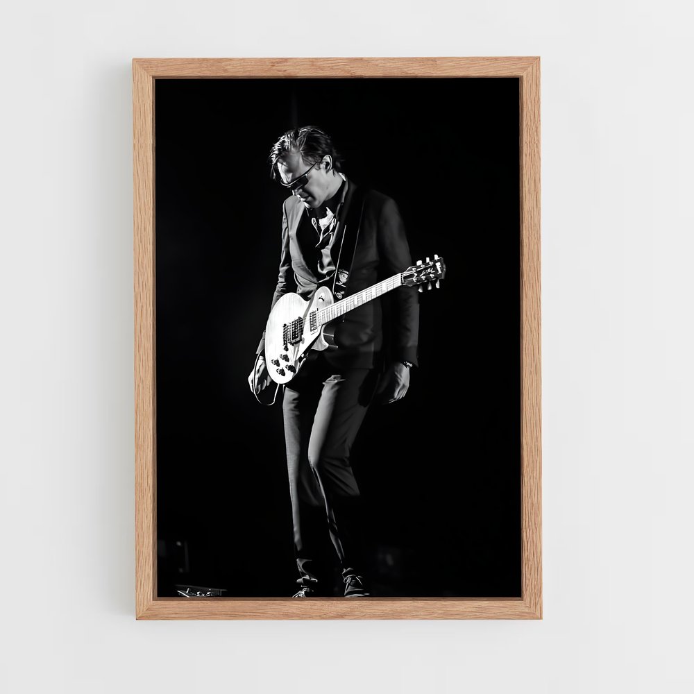 ap-joe bonamassa-8 cadre Bois clair