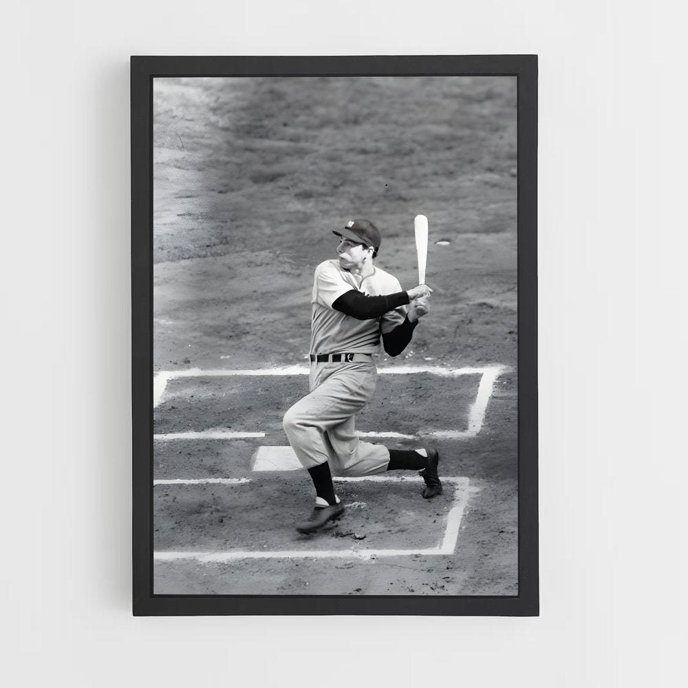 ap-joe dimaggio-4 cadre Noir