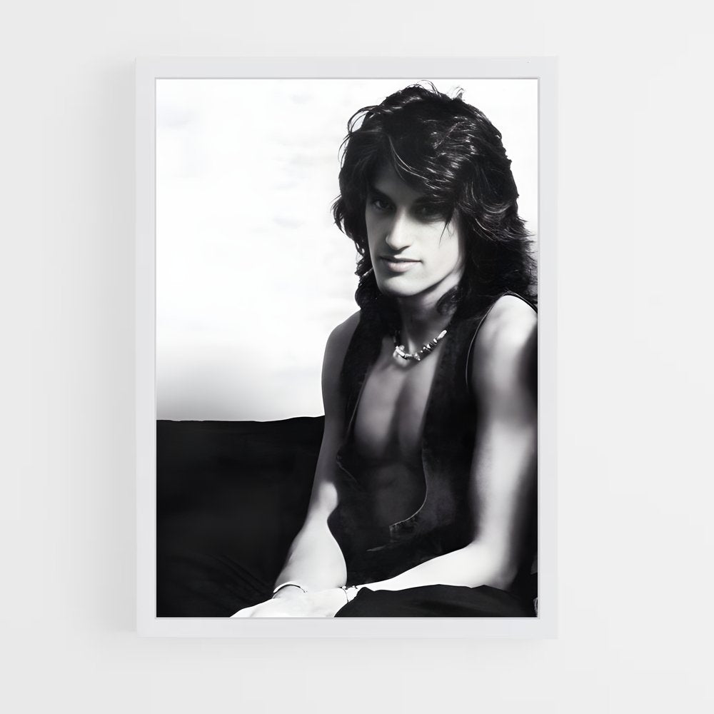 ap-joe perry-2 cadre Blanc