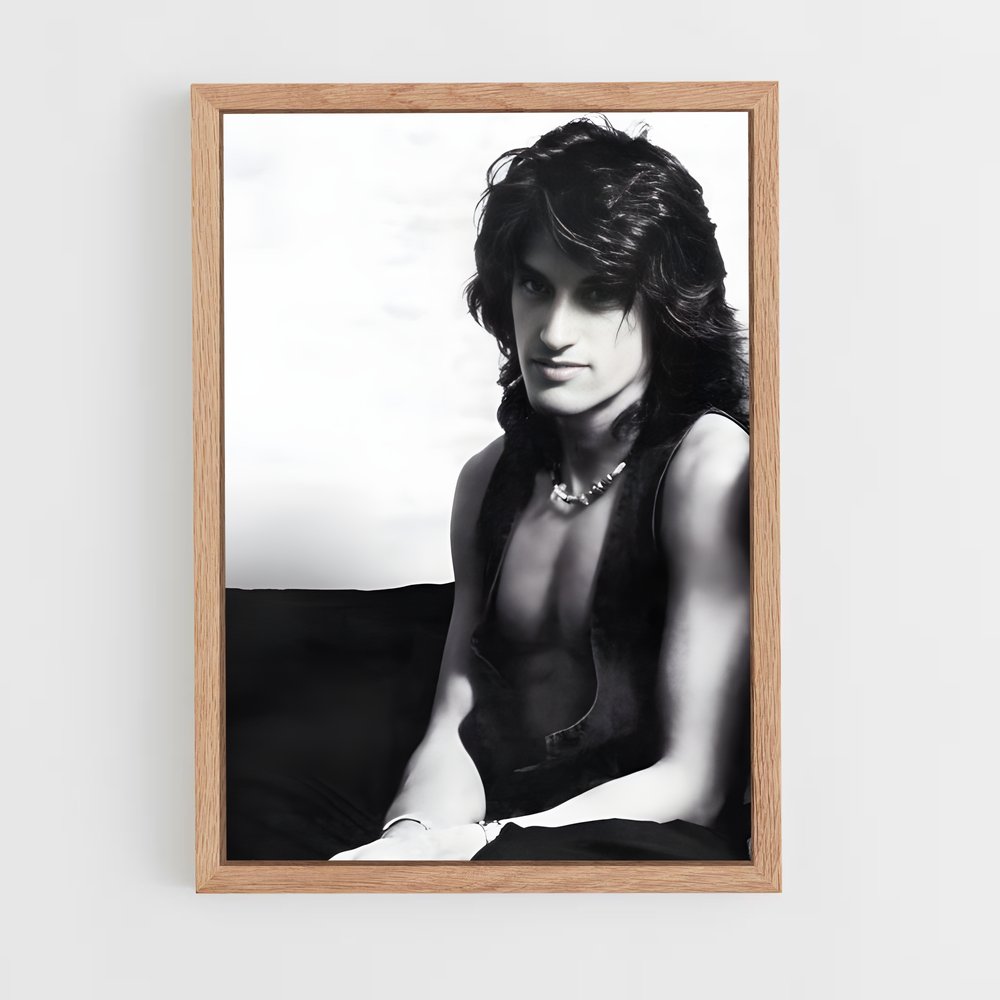 ap-joe perry-2 cadre Bois clair